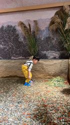 -造物庄园 萌宠纪(苏州湾歌林公园店)