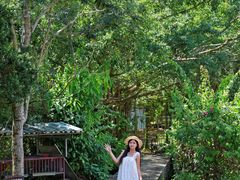 -兴隆槟榔园休闲农庄