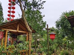 -青城甲(青城山店)