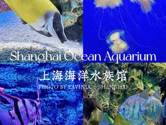 -上海海洋水族馆