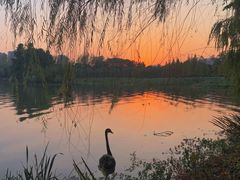 -浙江农林大学(东湖校区)