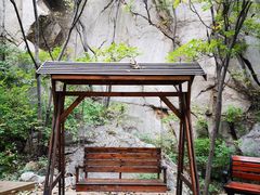 -大岭沟猕猴桃谷风景区