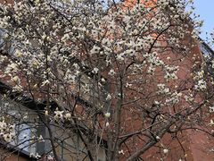 -浙江大学(玉泉校区)