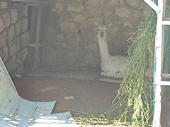 -丽泽山庄·生态怀柔菜·虹鳟鱼(红螺寺店)