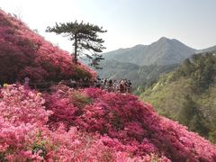 -木兰云雾山