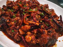 红烧甲鱼-一品滇香·云南菜(公益西桥店)