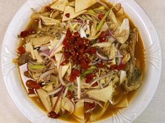 -马黑哥椒麻鸡(清江山水店)