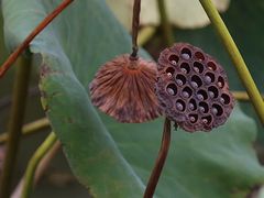 -苏州河梦清园环保主题公园