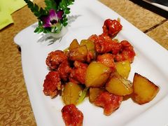 -豐柏轩食府