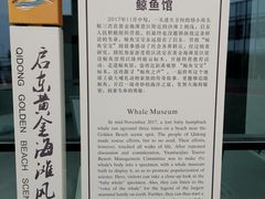 -启东黄金海滩景区