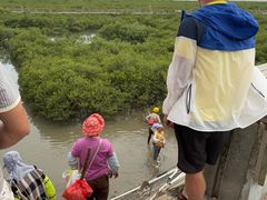 -北海金海湾红树林生态旅游区