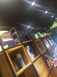 -藤野造型