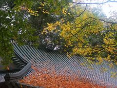 -韩宫宴烤肉·料理(南京江宁万达店)