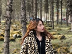 -硗碛藏寨·神木垒景区