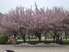 -唐城墙遗址公园