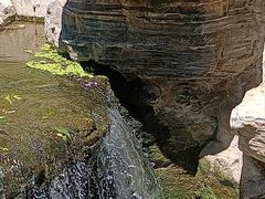 -白水寺森林公园