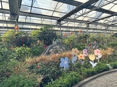 -南宫五洲植物乐园