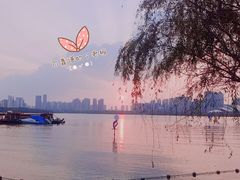 -天鹅湖体育公园