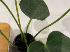 -眉州东坡(清河万象汇店)