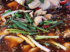 -乡土特色.冷锅鱼.牦牛肉汤锅