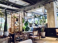 -一尺花园(首钢店)