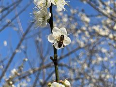 -广州市流溪河国家森林公园