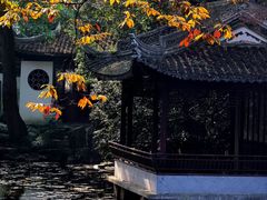 -秋霞圃