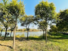 -东郊湿地公园