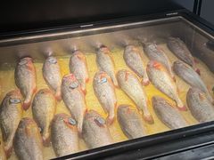 -荣家黄鱼面(前滩太古里店)