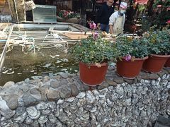 -园林美食城·本土农家菜(杨和镇店)