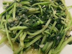 蒜蓉鸡毛菜-金春禧(世茂国际广场店)