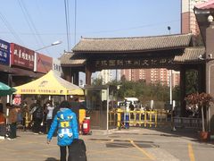 -中环花鸟鱼虫市场