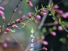 -迎泽公园
