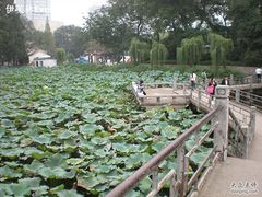 -包公祠