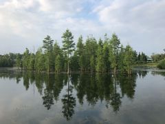 -白鹭湾湿地公园