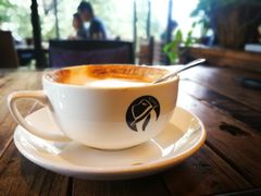 -D STAR COFFEE帝星咖啡