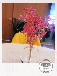 -海豚湾高端月子会所(黄浦店)