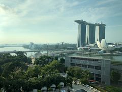 -新加坡文华东方酒店