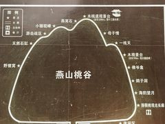 -大岭沟猕猴桃谷风景区