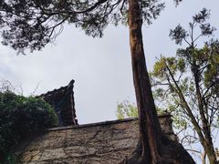 -青岛崂山太清宫