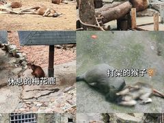 -杭州动物园