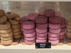 -LUSH(威尼斯人店)