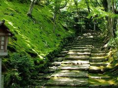 -常寂光寺
