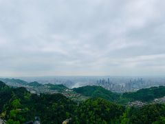 -大金鹰园