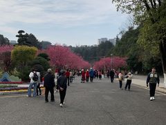 -阿哈湖国家湿地公园