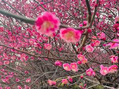 -九里河湿地公园