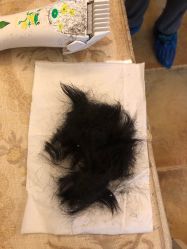 -禧婴婴儿理胎发·胎毛笔定制纪念品(新街口店)