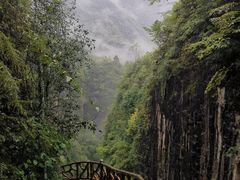 -鹿院坪生态旅游景区