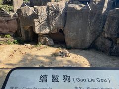 -南昌动物园
