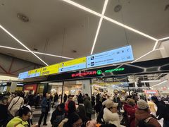 -谢列梅捷沃国际机场